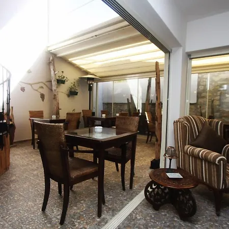 B&B Gold Harmoni *